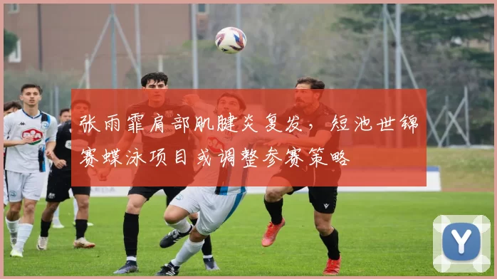 张雨霏肩部肌腱炎复发，短池世锦赛蝶泳项目或调整参赛策略