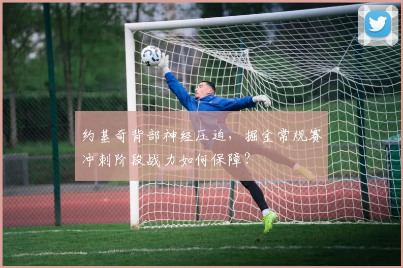 约基奇背部神经压迫,掘金常规赛冲刺阶段战力如何保障?