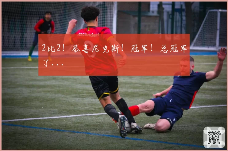 2比2!恭喜尼克斯!冠军!总冠军了...